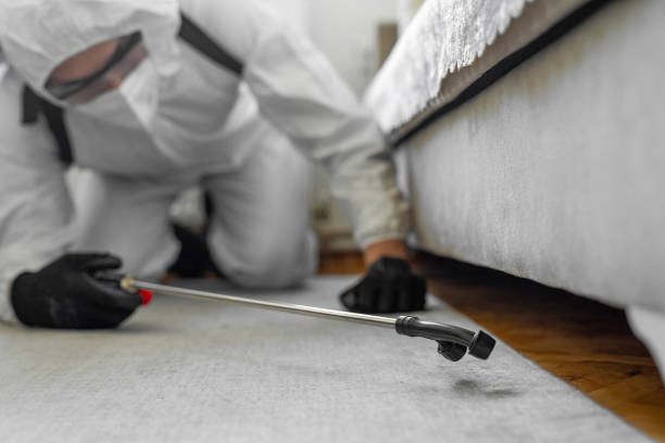 Professional Cockroach Control technician working in Forest City, FL